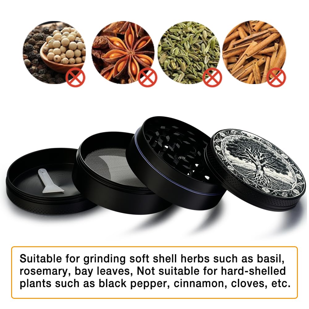 View 8