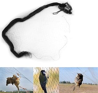 Anti Bird Net, Anti Bird Protection Net, Bird Preventing Net Garden Plant Netting Anti Bird Protection Black Anti Bird Mist Net Mesh Orchard for Protect Plants and Fruit Trees from Birds(20 * 3M)
