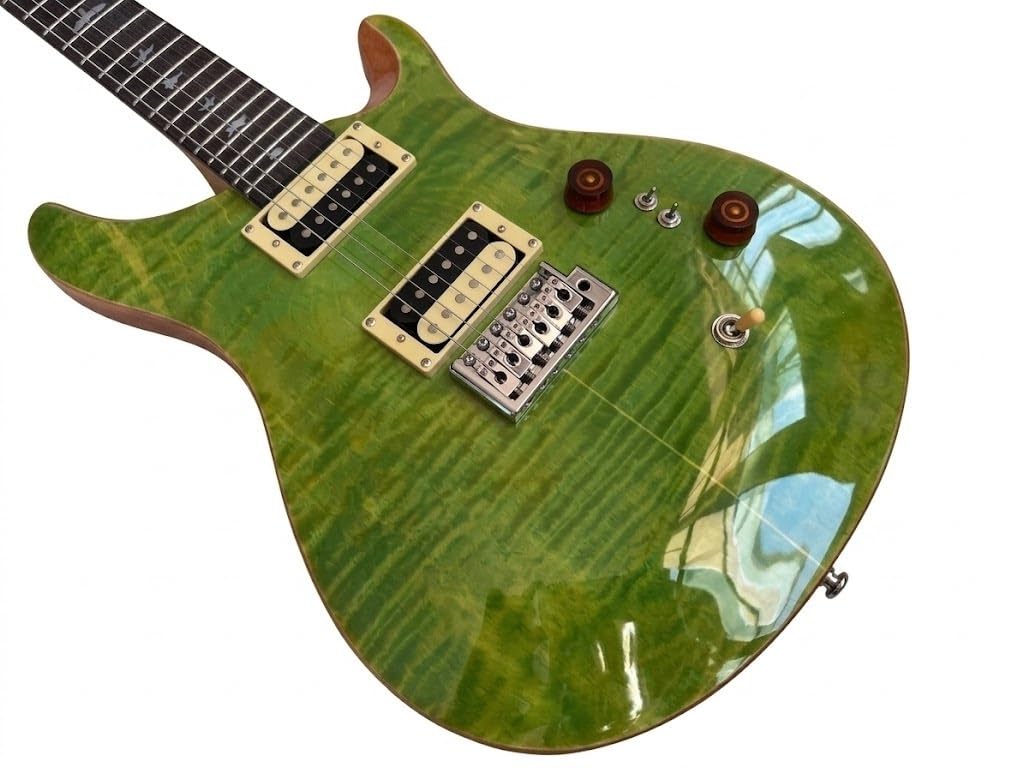 Chitarre elettriche a corpo solido da 39 pollici, chitarra elettrica con top fiammato verde smeraldo, bobina divisa e intarsi di uccelli, Guitarra Electrica for esercitazioni palco