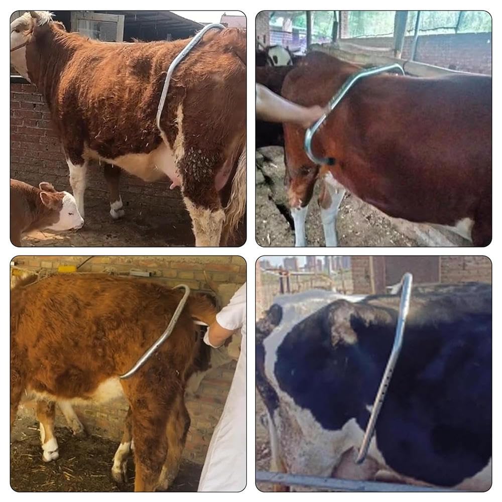 Cow Kick Bar - Dairy Farm Safety Restraint -6 Cow Kick Bar - Dairy Farm Safety Restraint -6