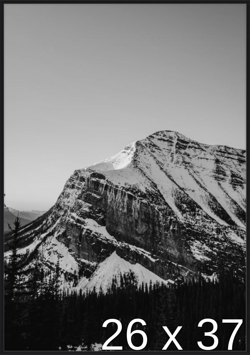 Frame It Easy 26 x 37 Satin Black Metal Frame (Ashford)