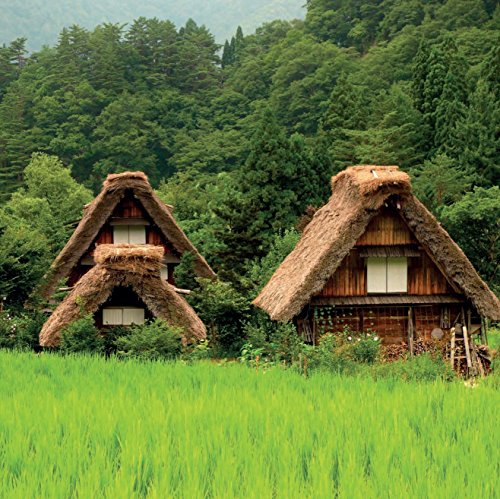 Eco Living Japan: Sustainable Ideas for Living Green