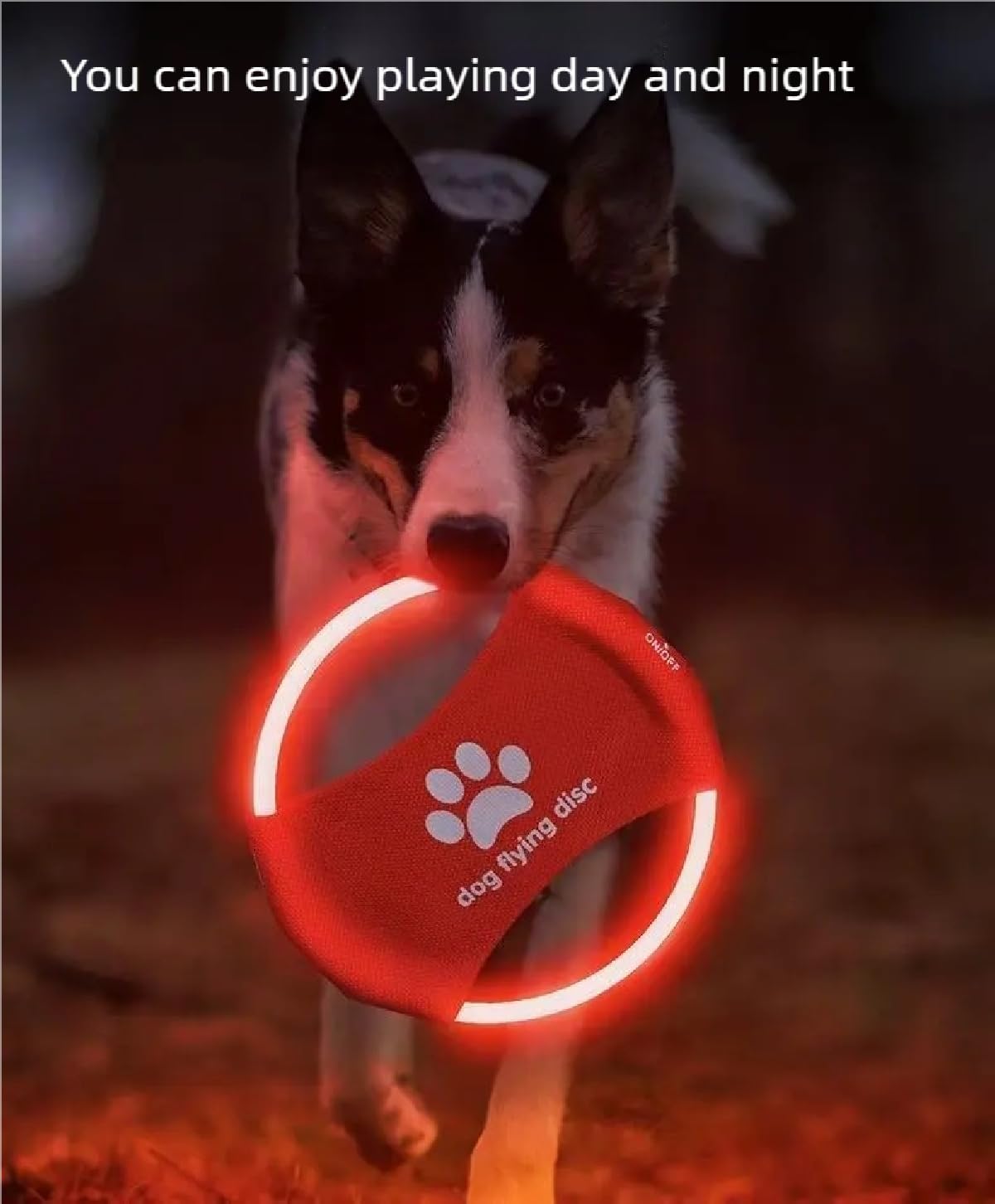 Lot de 2 frisbee lumineux LED pour dressage de chien, TPU non toxique en caoutchouc souple résistant au grincement et aux morsures, rechargeable et lumineux pour animaux de compagnie, jouet