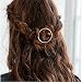 Joyci 1Pcs Creative Hoop Round Ponytail Holder Women's Geometric Metal Hair Pin (Rose Gold)