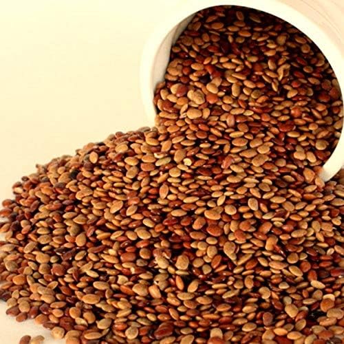 SPS MARKETING Horse Gram Kulthi | kollu | kaanam | Kulthi |Hulthi | Ulavalu | Kuleeth | Macrotyloma Uniflorum 500g