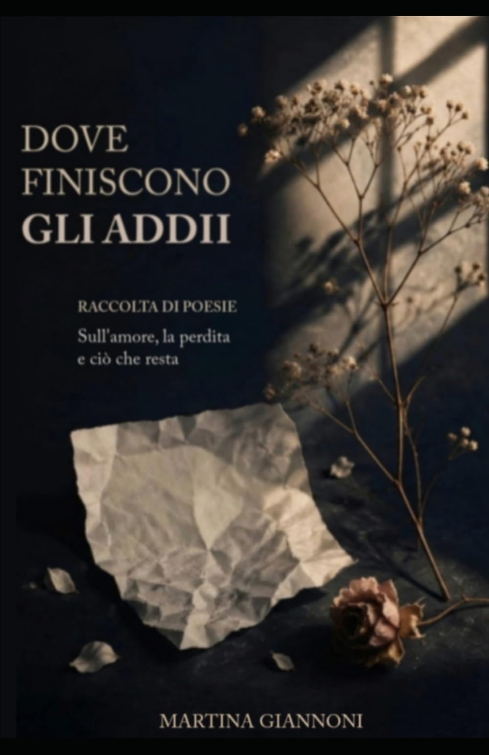 DOVE FINISCONO GLI ADDII: RACCOLTA DI POESIE - Sull'amore, la perdita e ciò che resta