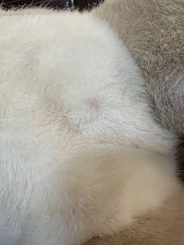 特大 巨大 レトロ うめ吉 犬 ぬいぐるみ ベージュ いぬ オリエンタルトーイ 719XfOdG95L._AC_UF350,