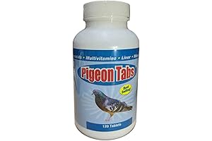 Pigeon Tabs: The Humane and Effective Solution for Pigeon Control