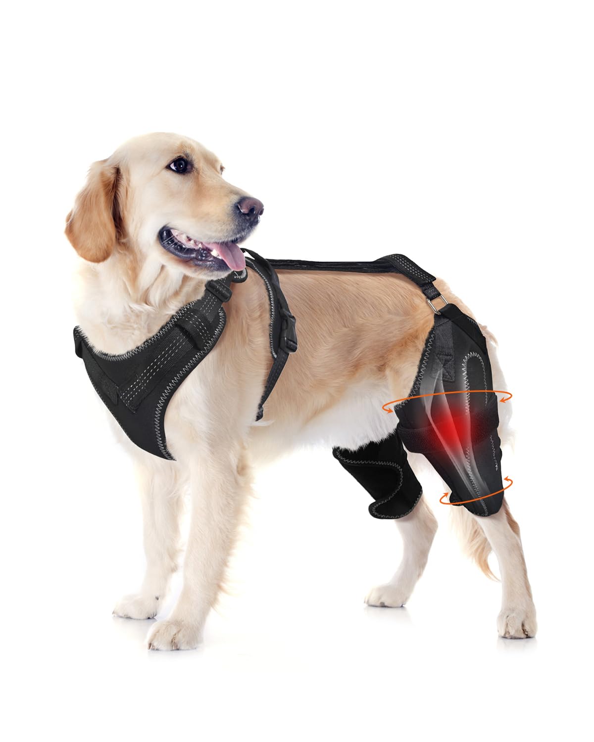 Photo 1 of ***MIGHT BE SMALLER THAAN SHOWN IN IMAGE***
LISPOO Dog Knee Brace – Rear Leg Support for Luxating Patella,Torn Ligament, Adjustable Support,Effective Wrapping and Joint Warmth, Pain Relief & Better Recovery – Both Legs, Size L