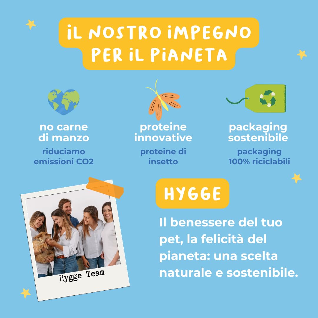 Filetes de atún al 70% | Comida húmeda para gatos sin granos con omega 3 y 6 | Cajas de gato 36 x 70 g naturales | Comida para gatos completa sin cereales | Fabricado en Italia | Hygge Cat