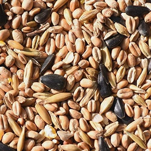 Leagrams All Year Round Wild Bird Food Seed Mix for Wild Birds (25.1kg)