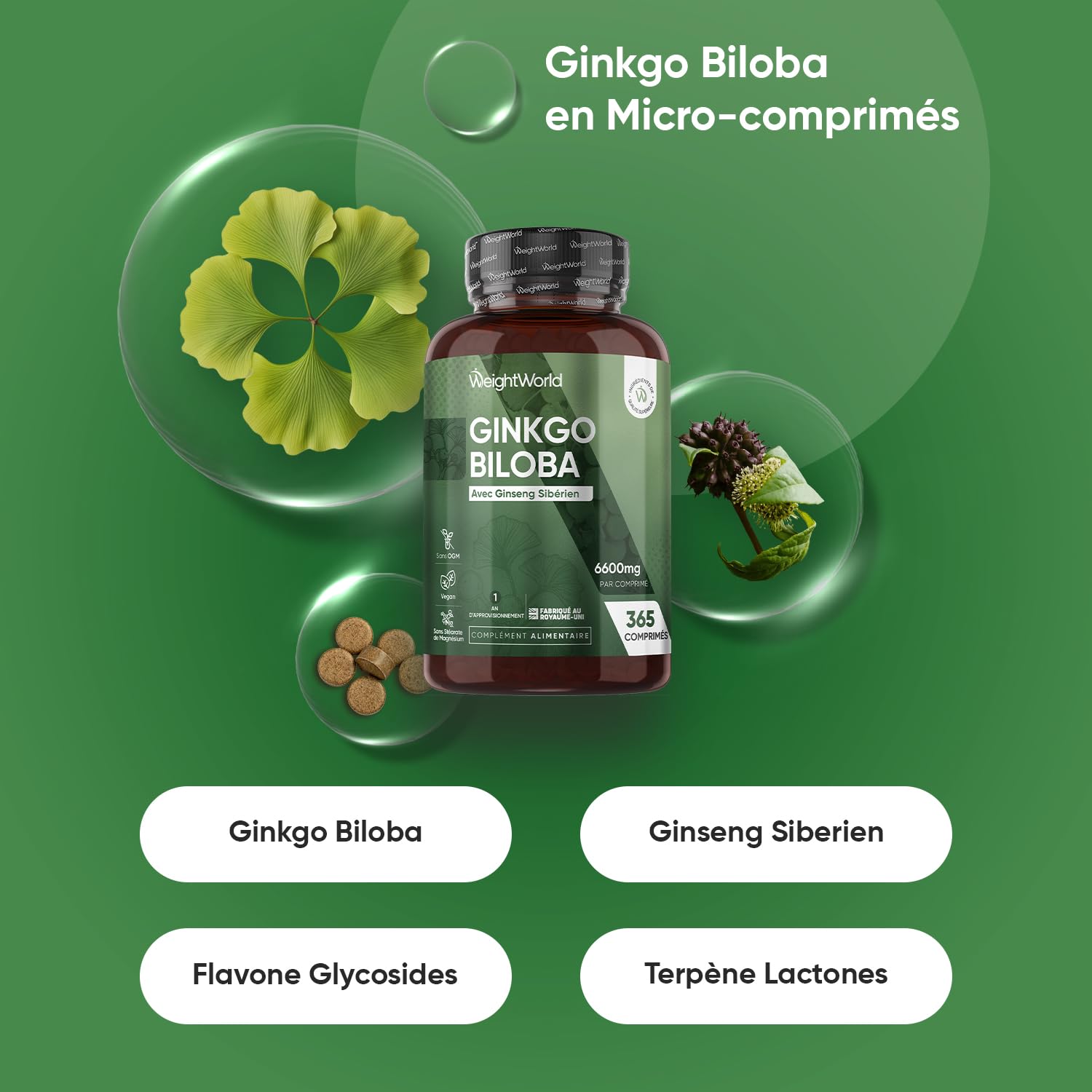 Ginkgo Biloba 6600mg avec Ginseng Sibérien, 365 Micro-Comprimés pour 1 An, Extrait de Ginko Biloba en Comprimés Vegan avec Flavones Glycosides & Terpènes Lactones, Sans Acide Ginkgolique et Sans OGM