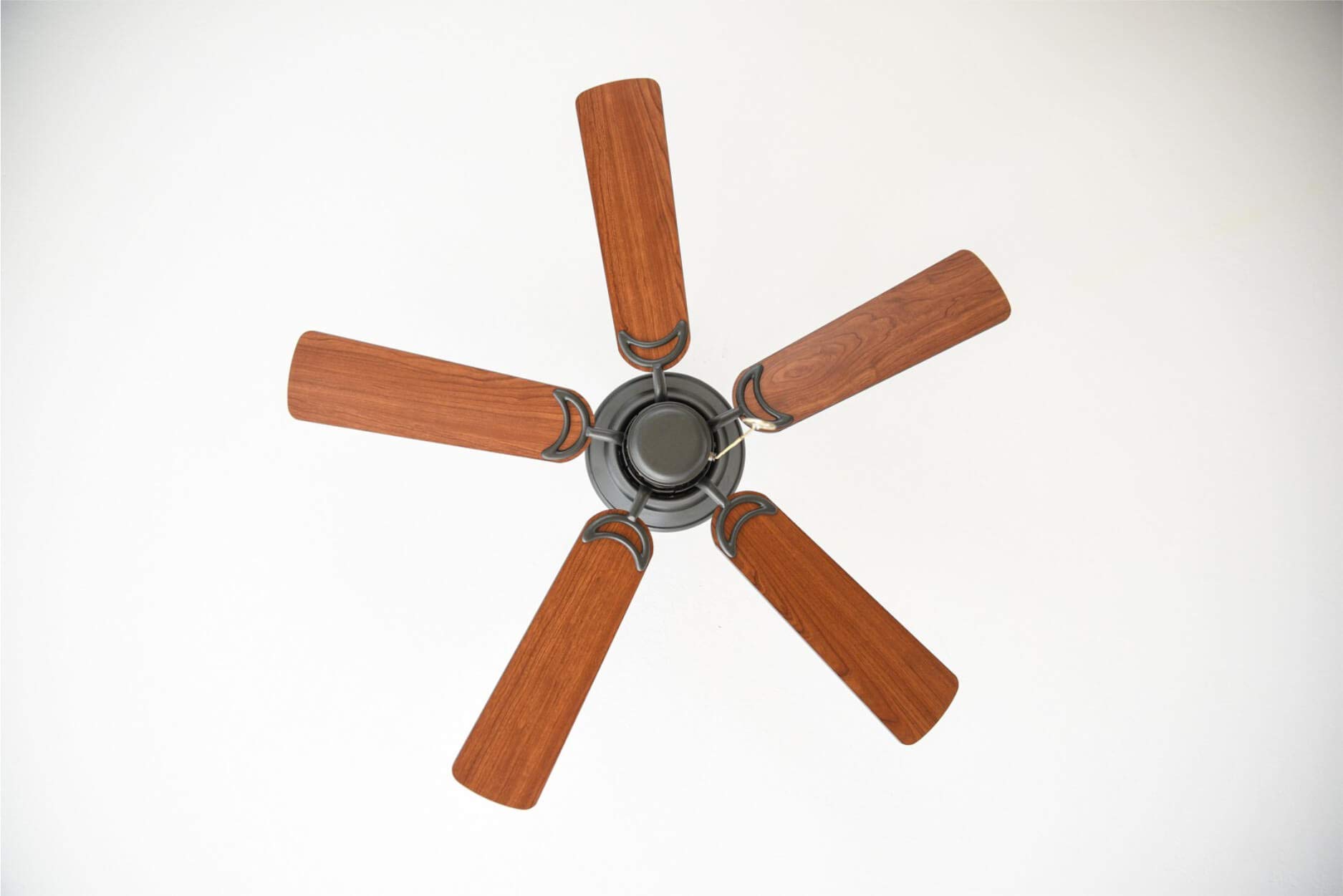 Westinghouse Cornucopia - Ventilador de techo con luz - Verano o invierno