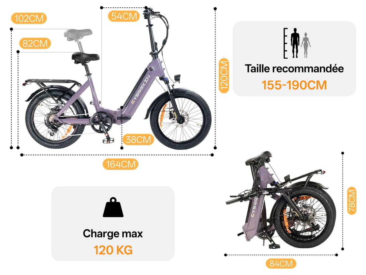 C20 E Bike Vélo Pliant 20 x 3,0 avec Freins hydrauliques, Batterie 48 V 15,6 Ah jusqu'à 120 km, Moteur 250 W 25 km/h, écran Couleur LCD 7 Vitesses pour Homme et Femme (Violet)