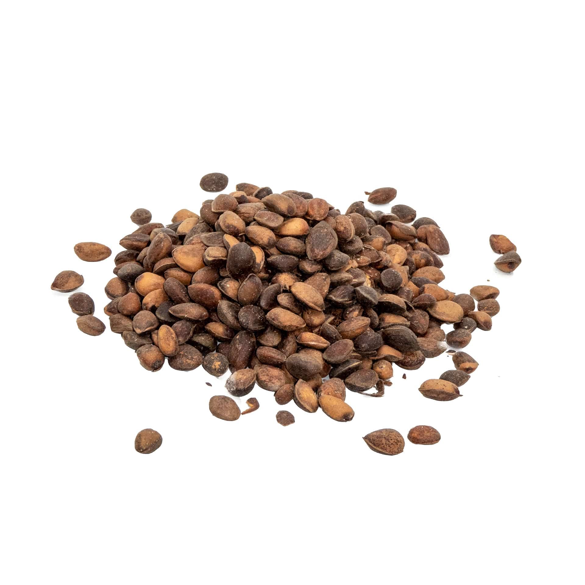 Zirbelnüsse, 10 kg