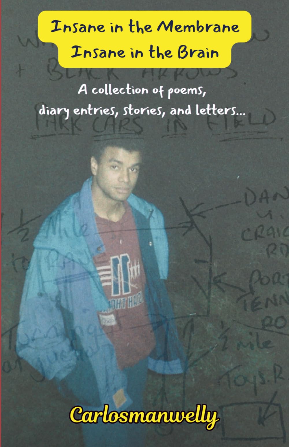 Insane in the Membrane, Insane in the Brain: A collection of poems, diary entries, stories, and letters