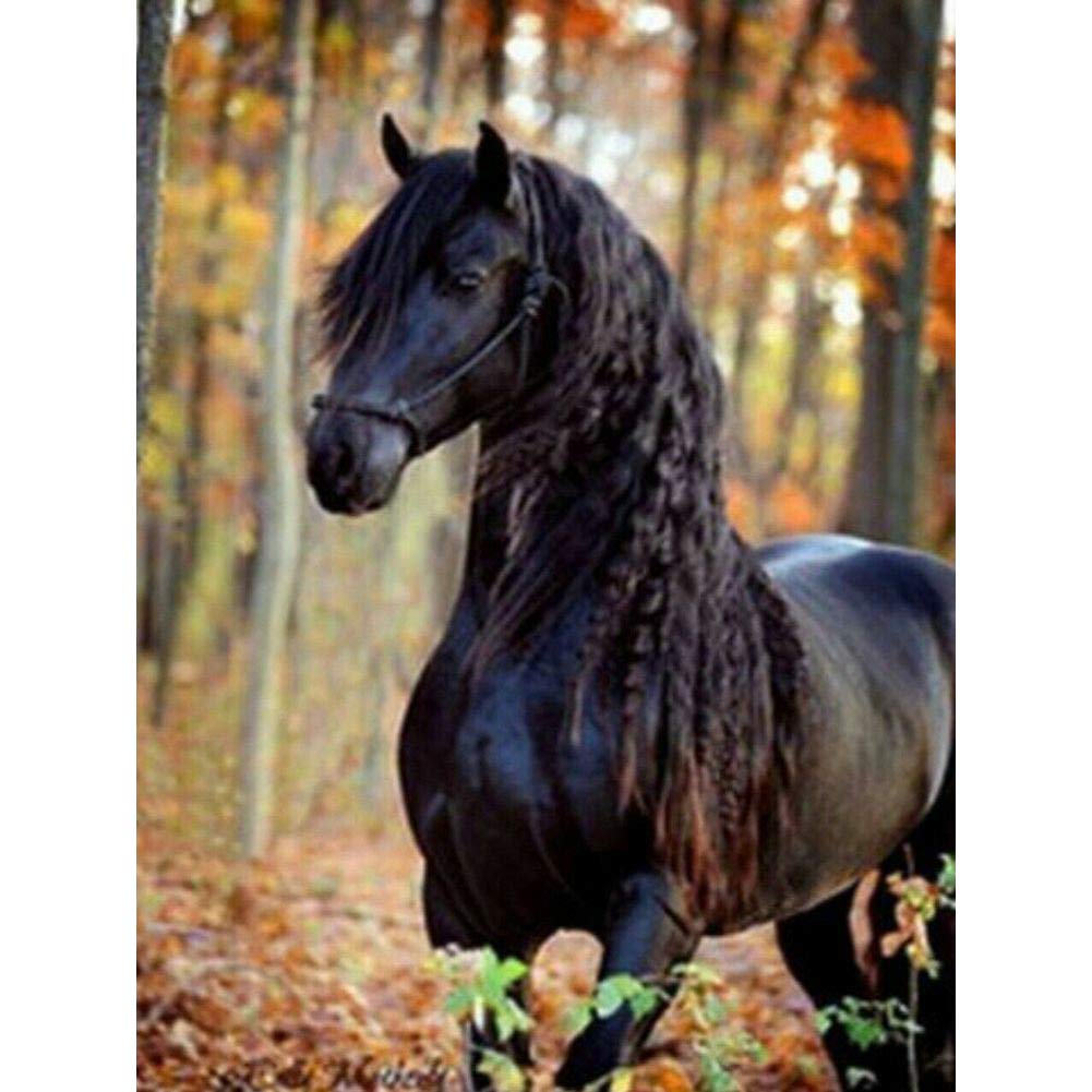 Own4b Black,Green Diy 5D Diamond Painting By Numbers Kits, Black Horse Animal 30X40cm Canvas Full Drill Diamond Art Paint With Diamonds Crystal Cross Stitch (Horse)