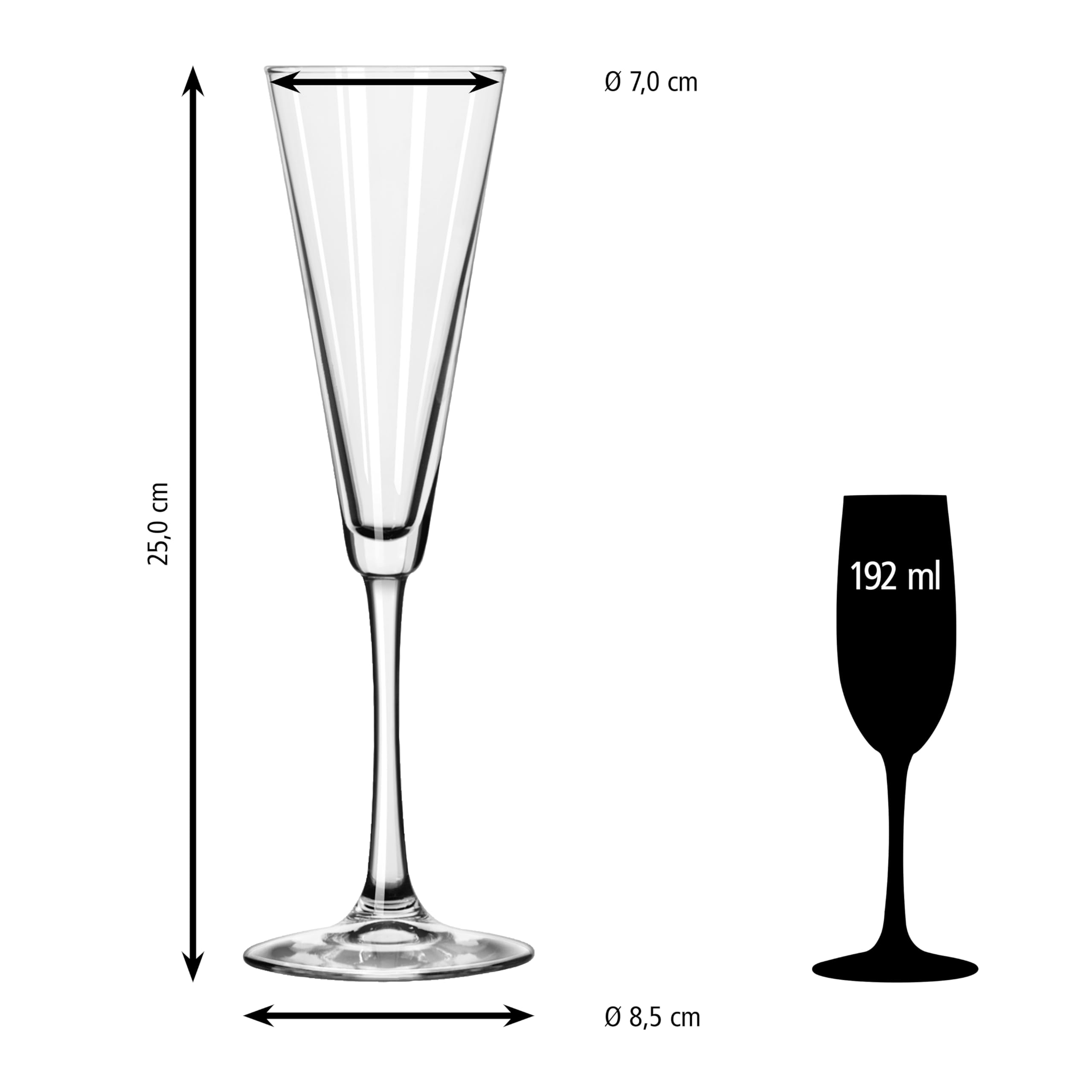 LIBBEY 70141 Sektglas "VINA", 192 ml, 12er Set
