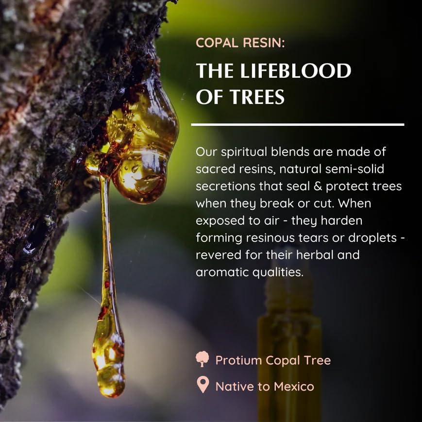 Aromafume Copal Resin Essential Oil Roll-On Blend 1 x 10ml / 1 x 0.33 Fl Oz | Made with Protium Copal (Burseraceae) Extract | Native to Mexico | For meditation, spiritual awakening & prayer - Image 5
