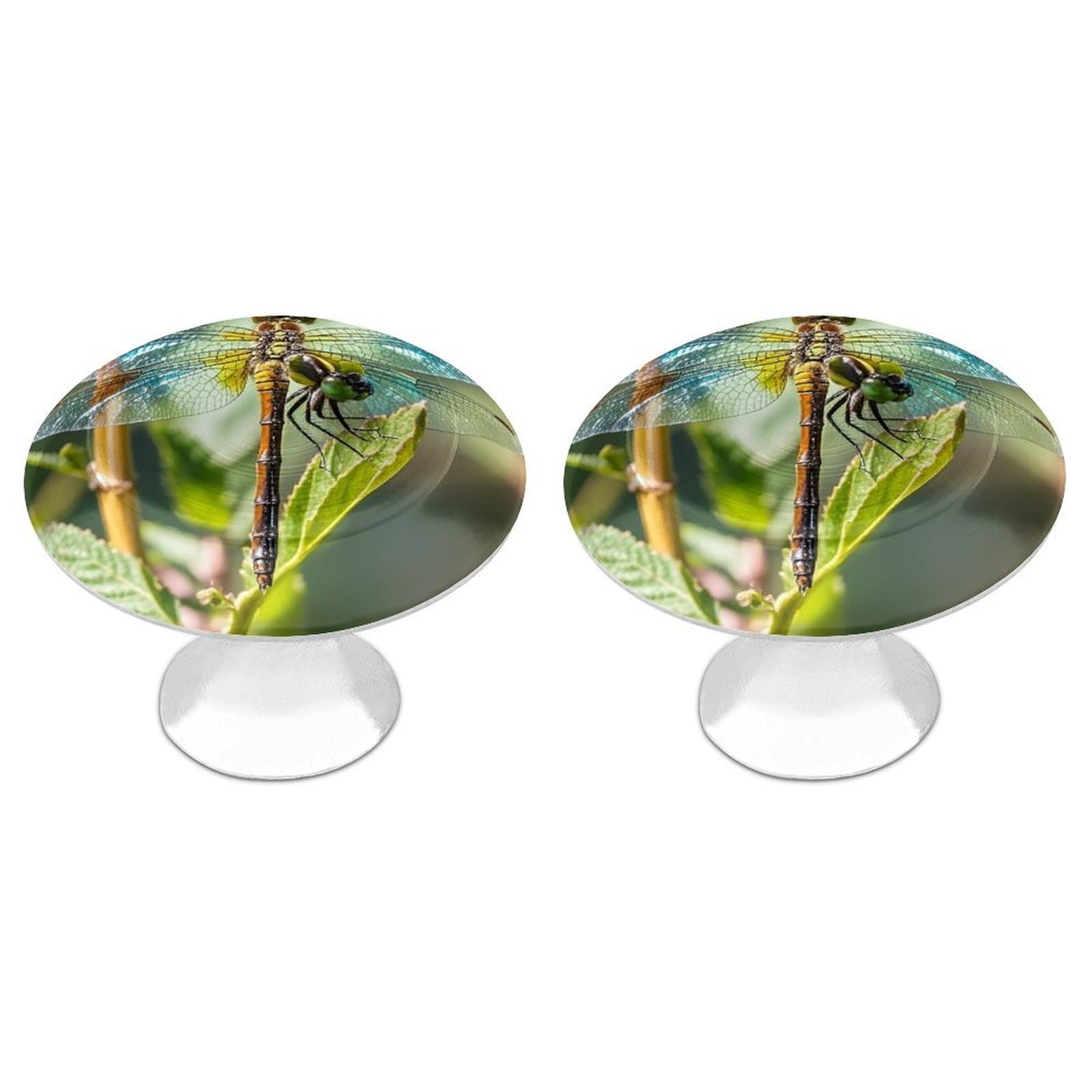 FekiLoot Colorful Dragonfly Cabinet Knob Kitchen Drawer Knob Stainless Steel Round Drawer Pulls Modern Cabinet Hardware Vintage Dresser Drawer for Kitchen Bathroom Closet Dresser Cabinets
