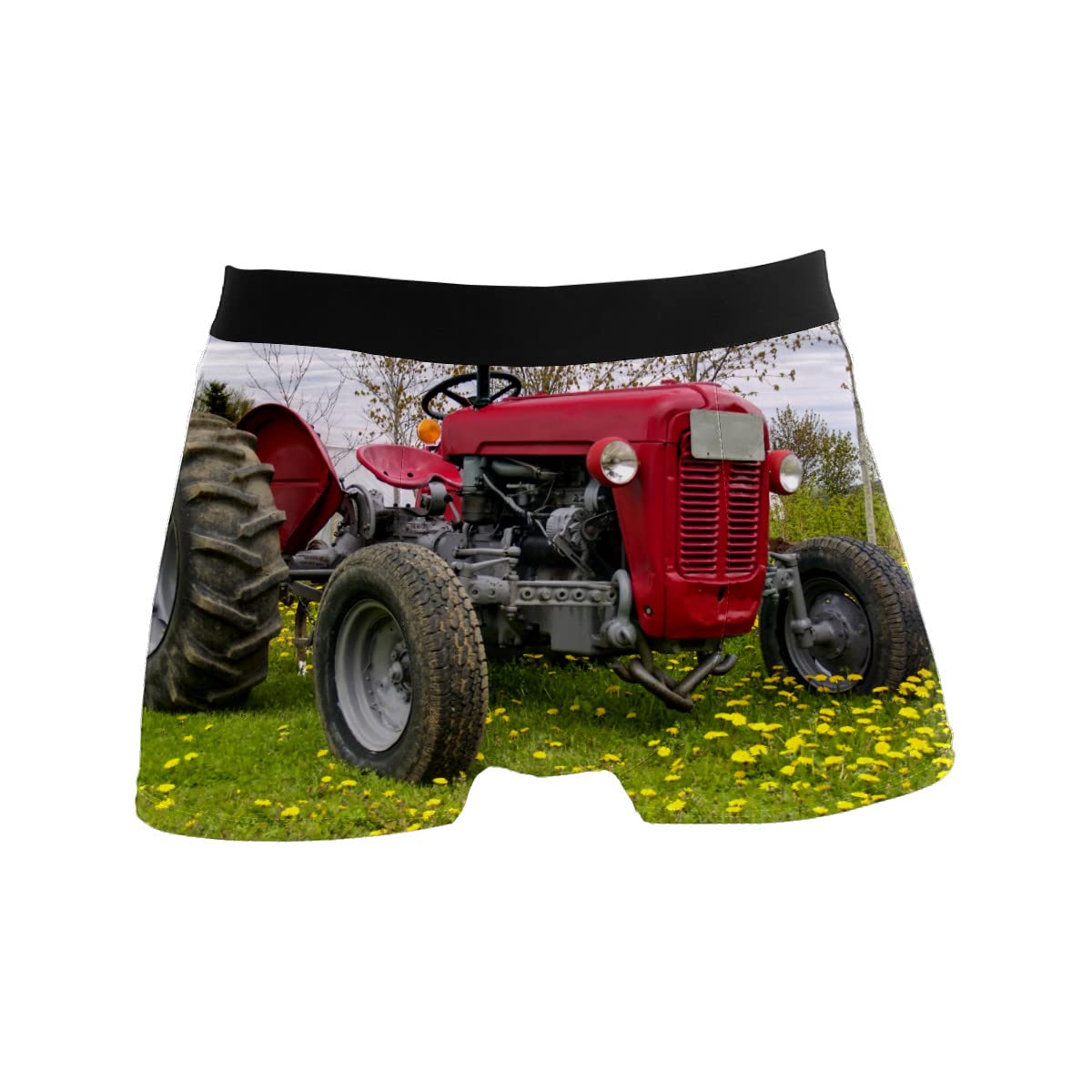 Clayu Men's One Color Boxer Briefs Underwear Breathable Stretch Boxer Trunk Farm Tractor Meadow