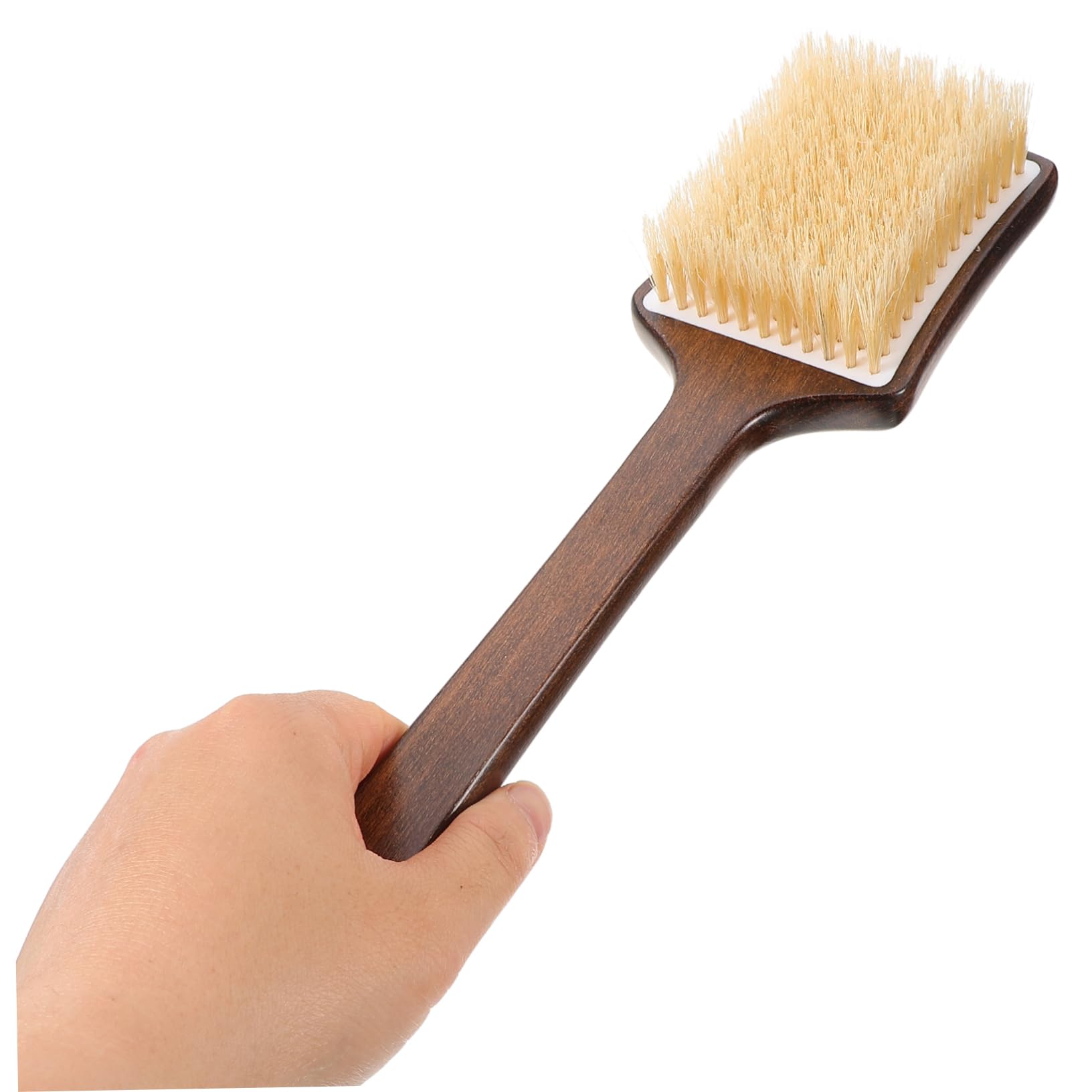 Beaupretty 5piezas Cepillo Mango y Cerdas De Cerdo Para Exfoliación y Masaje Para Ducha y Espalda Seco y Húmedo