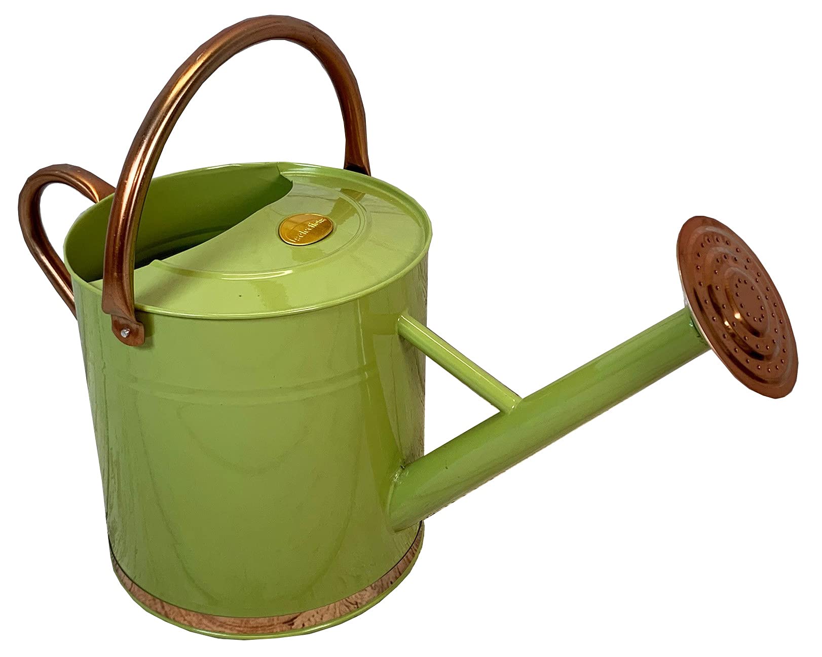 Selections Green Sage & Copper Colour Metal Watering Can (9 Litre)