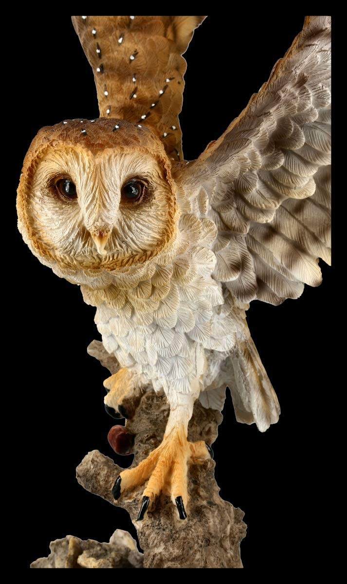 Figuren Shop GmbH Gufi Statuetta - Barbagianni Grande Vogel-Figur, Figura-Decorativa, Articolo Decorazione, Statua, Scultura, H 37,5 CM