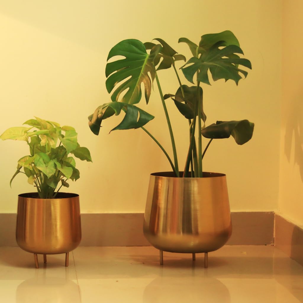 TrustBasket Jalsa Planter Set of 2 (Gold) | Heavy Duty Highly Durable Floor Pot for Living Room, Indoor and Outdoor, Balcony, Home Decor Metal Planter (B098MLS5SM) Amazon Price History, Amazon Price Tracker