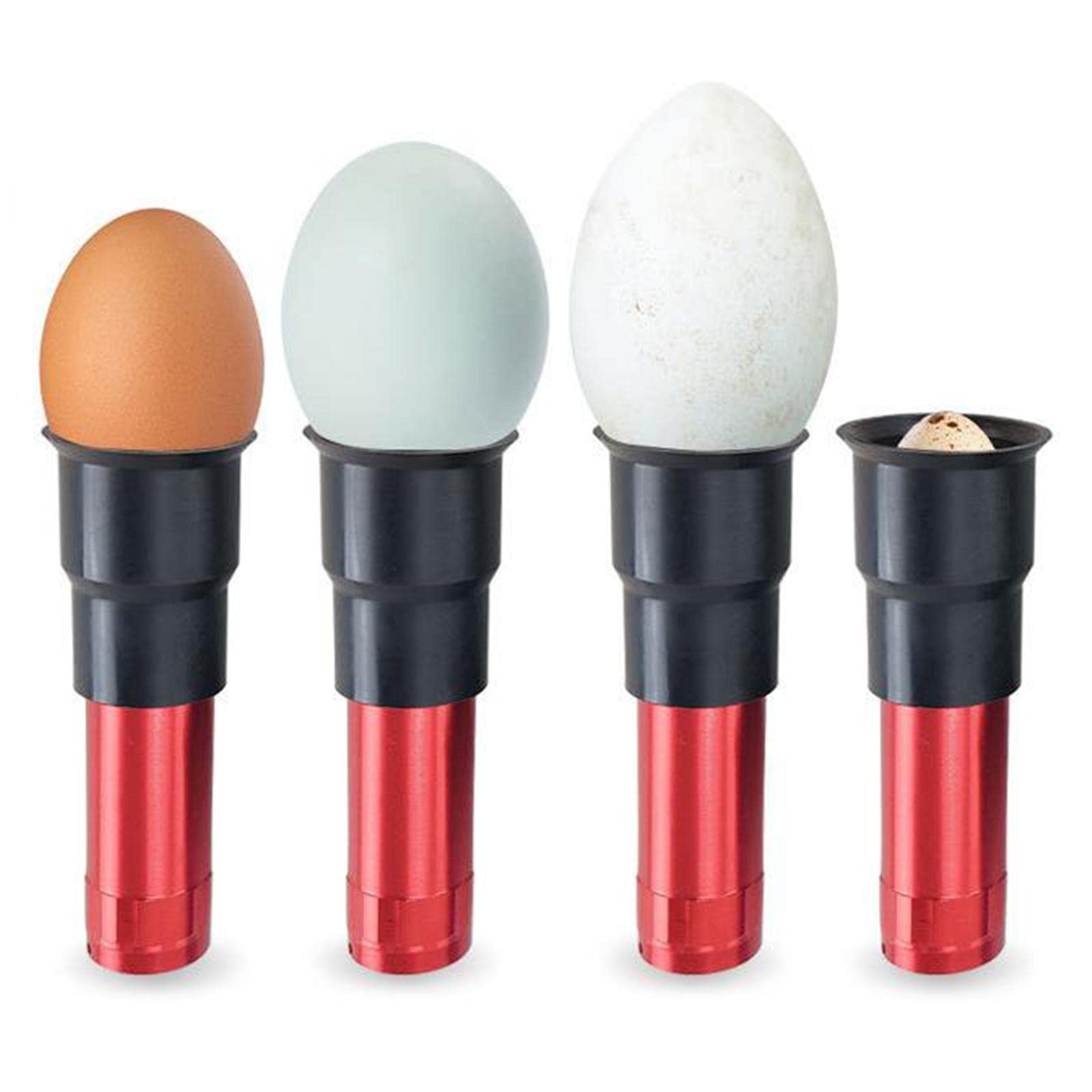 GAH LED Light Egg Candler Tester Cold Incubator Equipment for Chicken Blue-picture-12