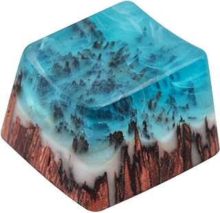 TINTON LIFE Delicate Hand Engraved Resin Wood Translucidus Backlit Key Caps for Mechanical Keyboards (Red Wood)