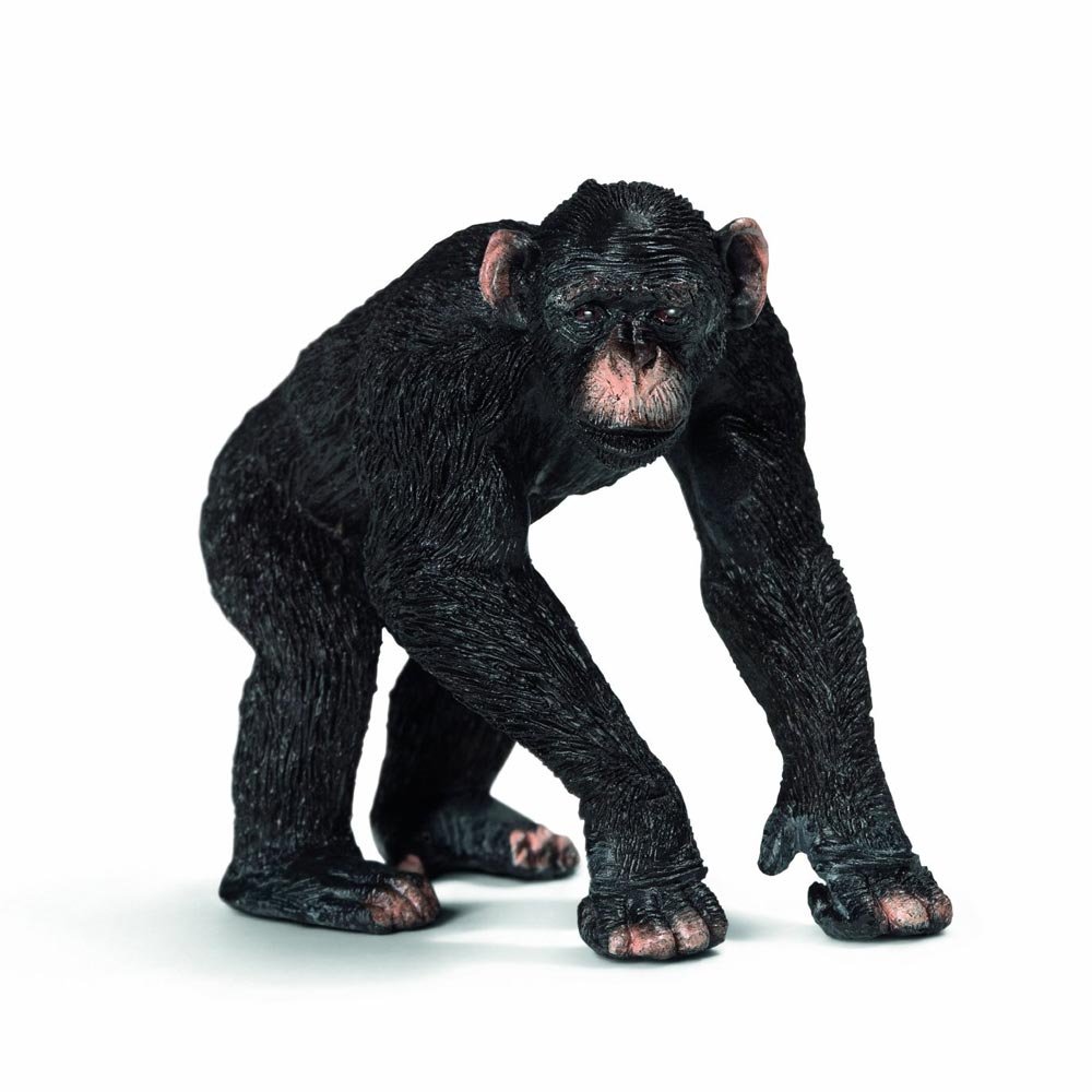 Amazon.co.jp: Schleich シュライヒ ワイルドライフ