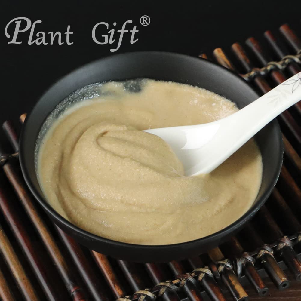 Plant Gift 100% Pure Angelica Dahurica Powder 白芷粉 Natural Angelica Dahurica Flour, Great Flavor for Drinks, Adds Flavor and Taste Non-GMO Powder, No Filler, No additives 100G/3.25oz
