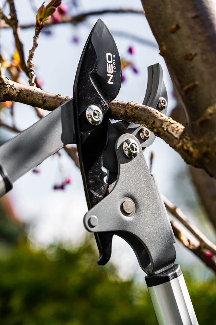 Coupe-branches à enclume, diamètre de coupe max 40 mm, lames avec revêtement anti-adhésif, poignées en aluminium, poignées antidérapantes en deux matériaux, lame enclume pour bois dur et sec