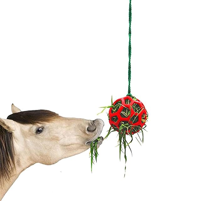 Foto 2 de 7 de Niktule 2 Alimentador Heno Bola Regalo para Caballos, Bola Heno para Caballos