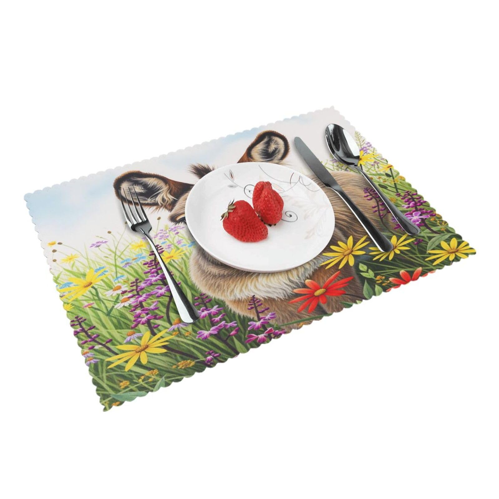 Aesthetic Donkey Placemats Set of 4 Print Table Mats Place Mats Table Decor for Kitchen Dining 12X18 in
