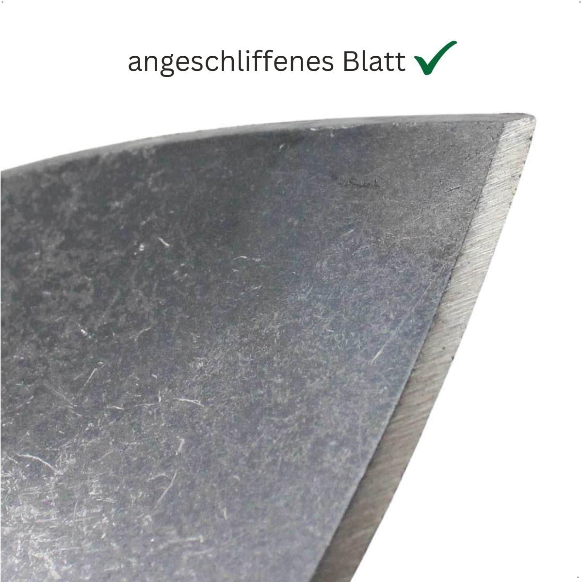 D&O - Staudenspaten aus Borstahl Beetspaten & Blumenkelle mit T-Stiel 53cm | Geschmiedeter Gartenspaten mit Eschenstiel zum Ausstechen von Wurzeln und Pflanzen in dichten Beeten, Blatt angeschliffen