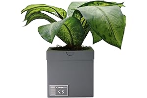 NIKE Plant Sneakers Box Planter Pot 3D Printed For Indoor Plants - GRAY