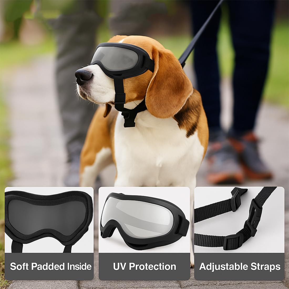 Occhiali da Sole per Cani, Protezione UV, Occhiali Cane, Occhiali Moto cane, Adatti per Cani di Piccola Taglia