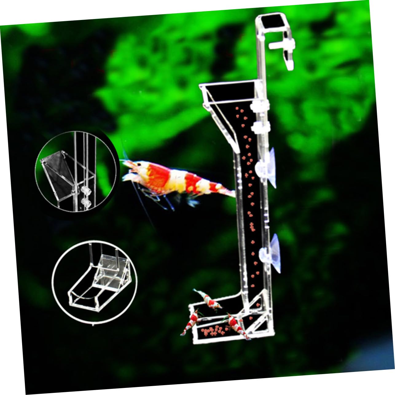 DOITOOL 3pièces Tube Alimentation Acrylique pour Crevettes Distributeur Pratique pour Aquarium pour Crevettes Cerises Et Crystal Facile à Nettoyer Ajuster