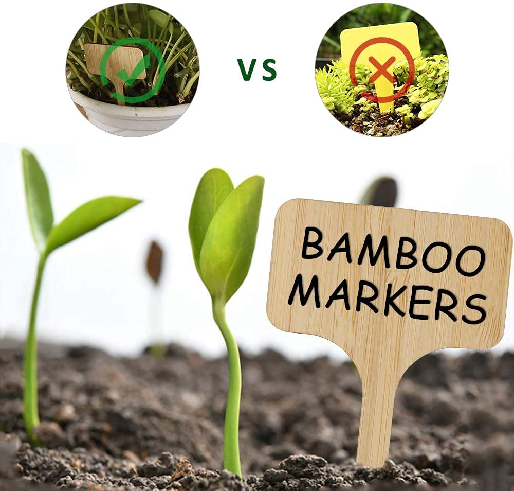 Bamboo Tree Sign Bamboo Vegetable Garden Signs Bamboo Zigzag Vegetable Trellises 24