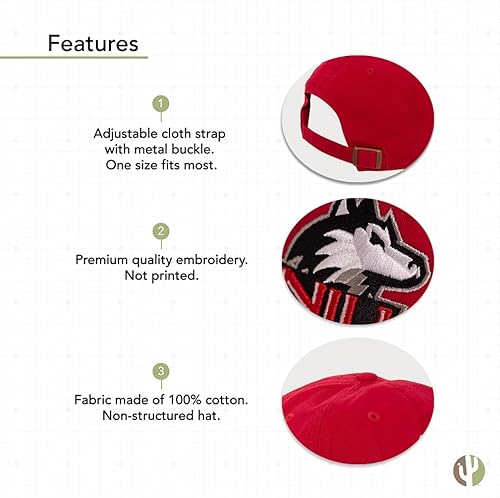 Miniatura 4 de Desert Cactus Northern Illinois University Baseball Hat NIU Huskies Brimmed Embroidered Hats Cap Adjustable Cloth Strap Adult