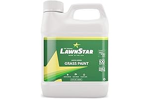 Green Miracle for Grass - Environmentally Friendly Green Spray Paint for Grass