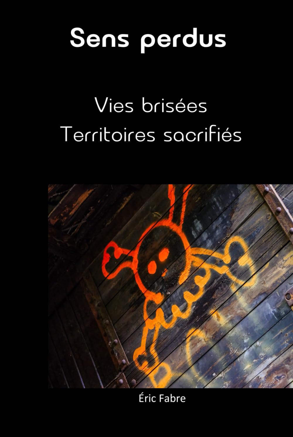 Sens perdus: Vies brisées - Territoires sacrifiés (Enquête de sens)