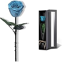 Vista 12 de Flores Rosadas para Entrega Prime, Rosas Rosadas Preservadas Regalos de Flores para Mujeres, Rosas Reales Regalos de Rosa Individual para Ella