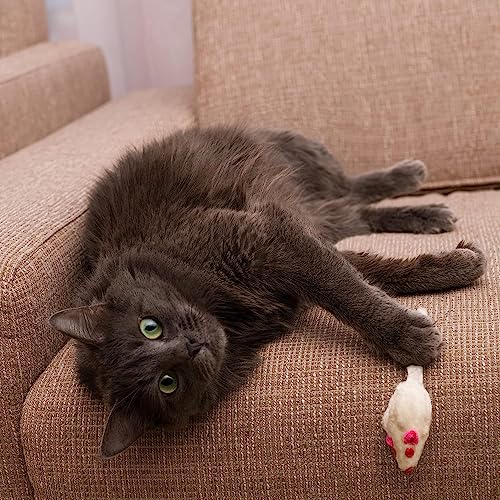 Image of PETS EMPIRE Fun Plush Cat Rats, Cats Hunting Mouse Toys, Bite Proof Cat Toy, Interactive Mice Plush, Kitten Playing Toys Rat, Soft Mouse Toys for Cats, Kittens - 2Pcs (Color May Vary)