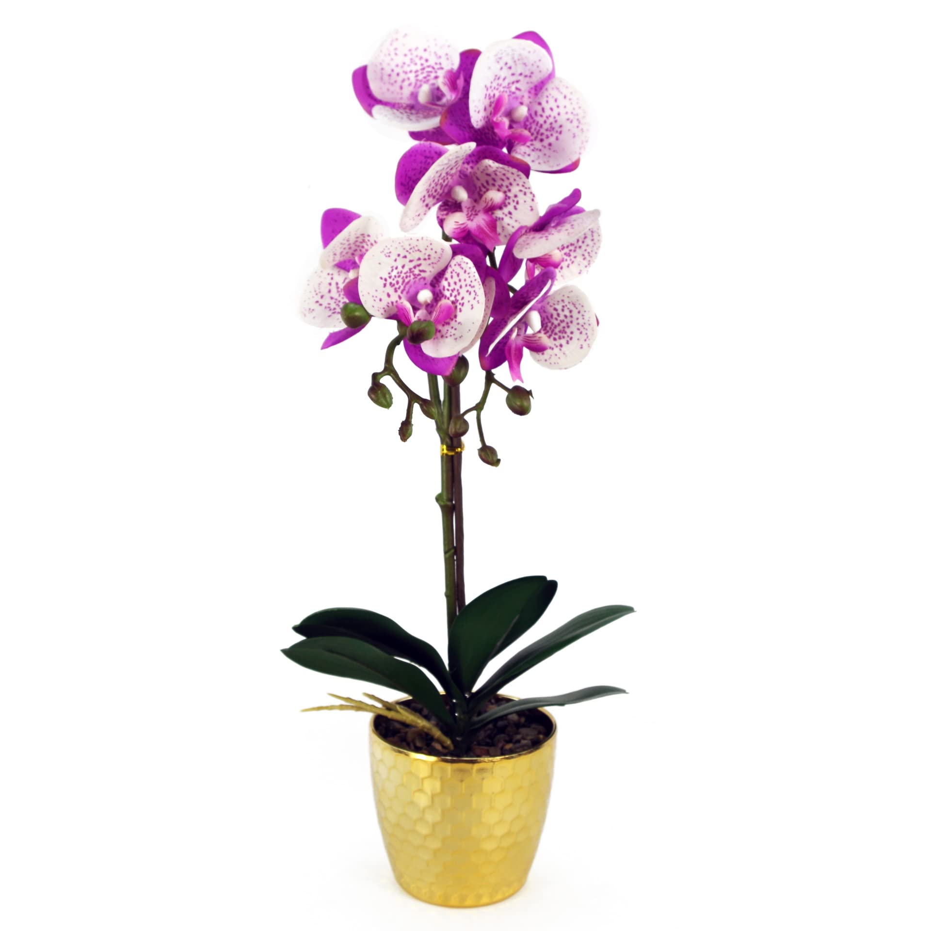 Artificial Orchid Phalaenopsis 50cm - Purple/White - Gold Pot - Real Touch Leaves