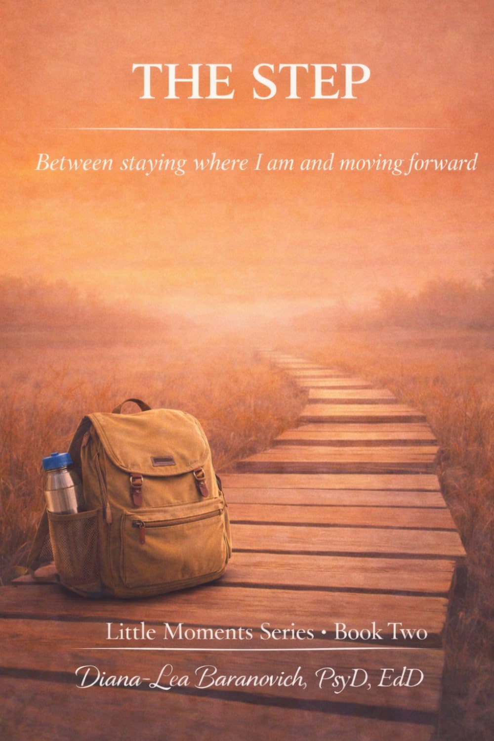The Step: Between staying where I am and moving forward (Little Moments Series)