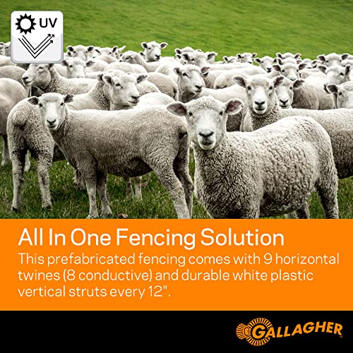 Gallagher 35\" x 164\' Electric Sheep Netting | Braided Turbo Wire Netting with 9 Mixed Metal Strands for 48x More Conductivity and Consistent Strong Voltage, Sheep and Goat Pasture Fencing - Thumbnail 3