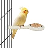 ASOCEA Bird Perch Feeding Cup,Bird Bowls for Cage Parakeet Feeder Parrot Food Bowls Parrot Cage Accessory for Budgie Lovebird Cockatiel Parakeet Canary Finch Small Parrots,Beige